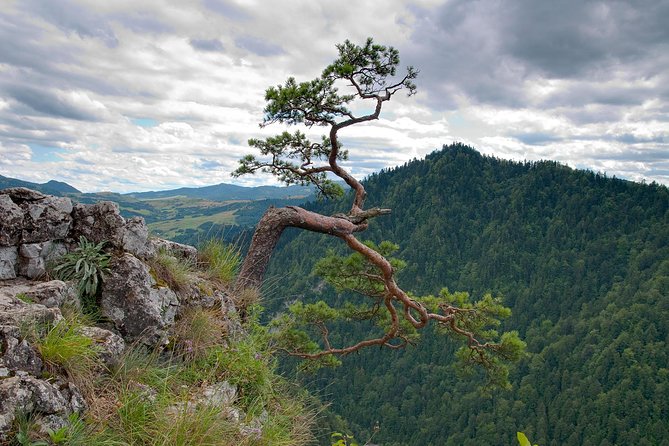Half-Day Dunajec River Rafting tour from Krakow - From Krakow to the Dunajec Gorge