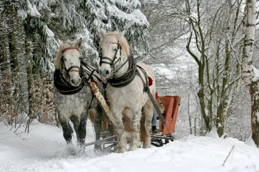 Horse Sleigh 2-3h Ride with Hot Springs or Zakopane Combos - Practical advice before you go