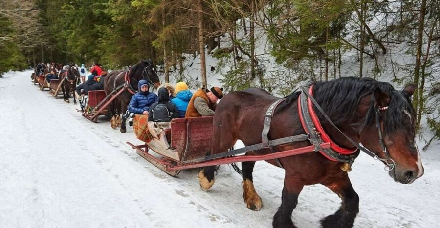 Horse Sleigh 2-3h Ride with Hot Springs or Zakopane Combos - Zakopane and Krupowki Street
