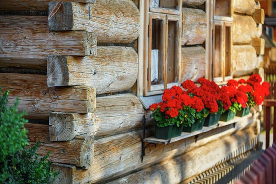Horse Sleigh 2-3h Ride with Hot Springs or Zakopane Combos - The Chocholowska Baths option