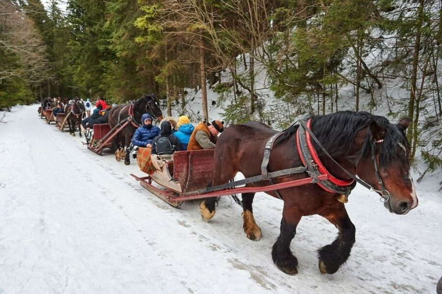 Horse Sleigh 2-3h Ride with Hot Springs or Zakopane Combos - Chocholow brings the highlander setting into focus