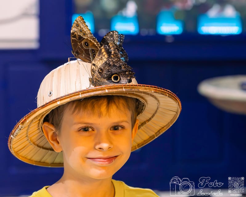 Krakow: 4 Mazes and Living Butterfly Museum Entry Ticket - Four mazes, four very different challenges
