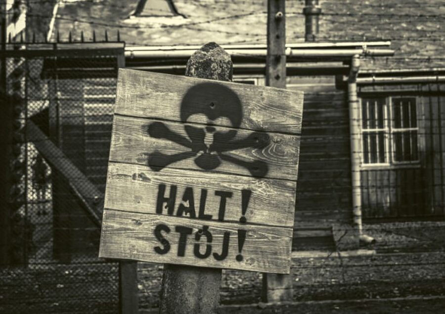 Krakow and Auschwitz Small-Group Tour from Warsaw with Lunch - FAQ