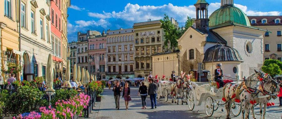 Krakow and Auschwitz Small-Group Tour from Warsaw with Lunch - What the $392 price really covers