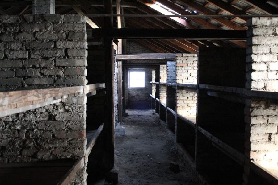 Krakow and Auschwitz Small-Group Tour from Warsaw with Lunch - Should you book this Warsaw to Krakow tour?