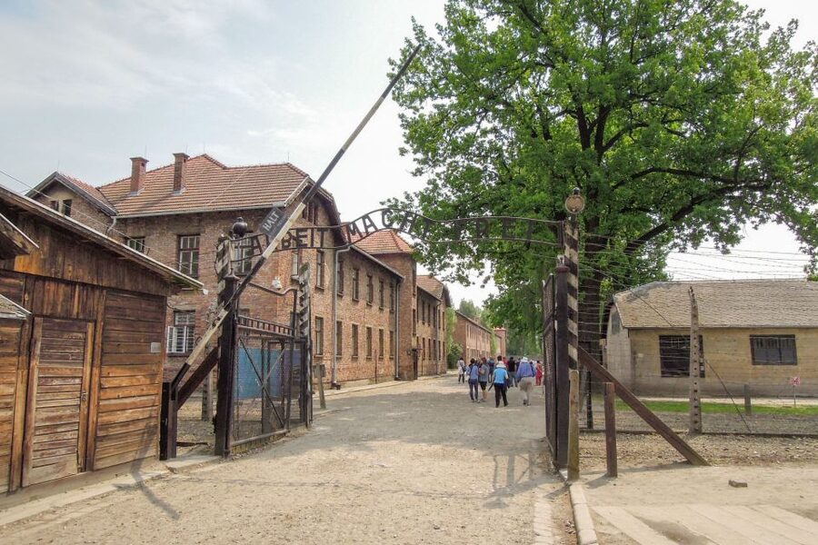Krakow: Auschwitz and Wieliczka Salt Mine Combo Tour - Key points to know before booking