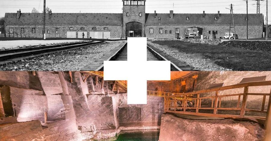 Krakow: Auschwitz-Birkenau and Salt Mine Guided Tour - Who should choose this tour