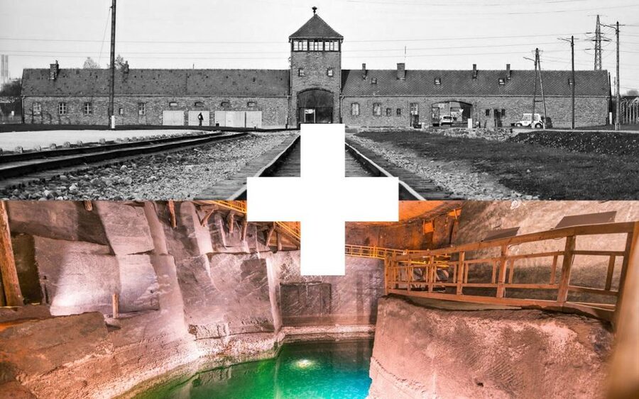 Krakow: Auschwitz-Birkenau and Salt Mine Guided Tour - Why this full-day pairing works