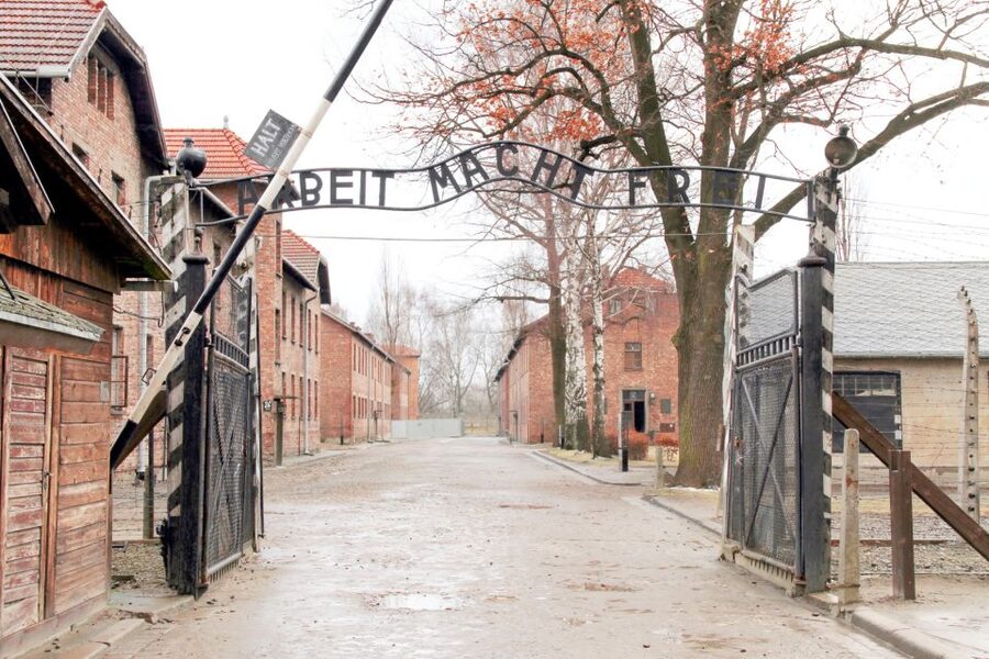 Krakow: Auschwitz-Birkenau and Salt Mine Guided Tour - Birkenau and the outdoor memorial grounds
