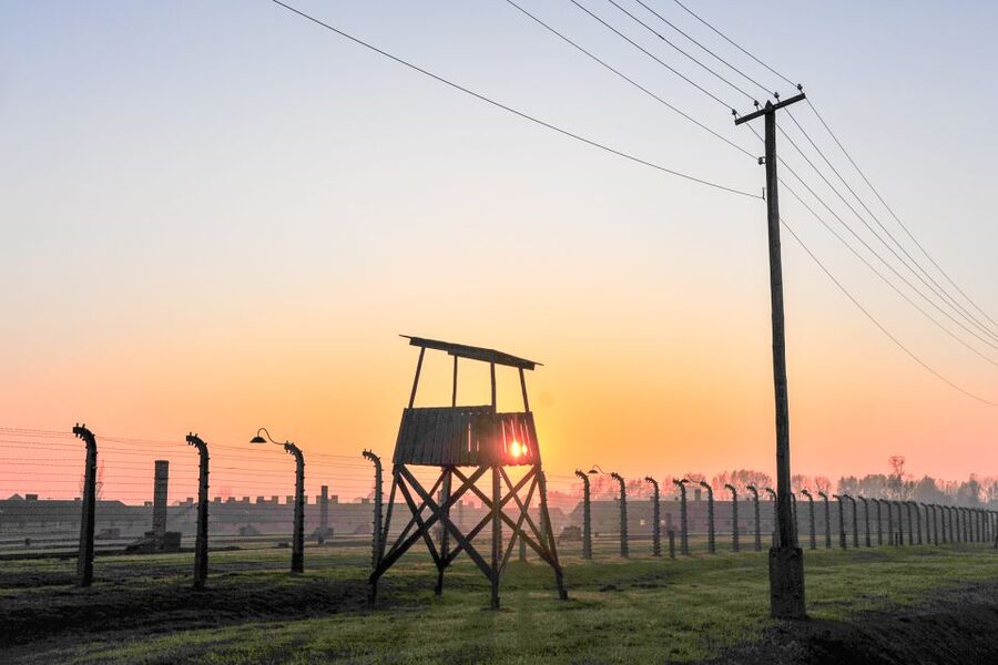 Krakow: Auschwitz-Birkenau and Salt Mine Guided Tour - Transport, group size, and the practical value