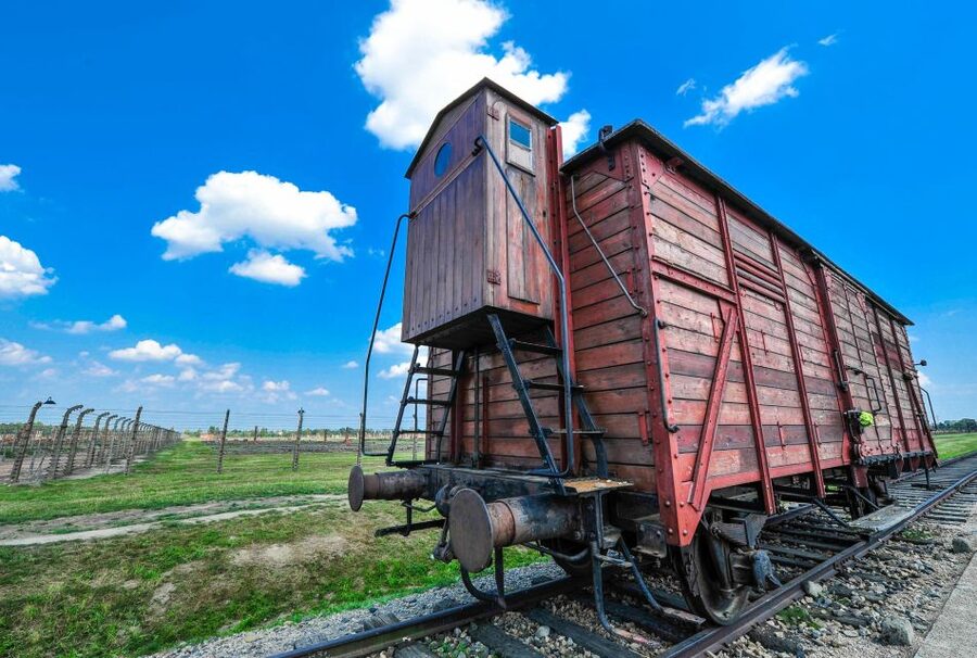 Krakow: Auschwitz-Birkenau and Wieliczka Salt Mine Day Trip - Is $131 good value?