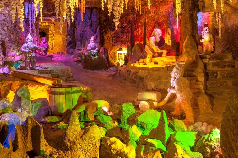Krakow: Auschwitz-Birkenau and Wieliczka Salt Mine Day Trip - Who should book this day trip?