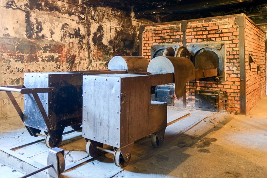Krakow: Auschwitz-Birkenau Day Trip with Tour Leader - The self-guided format: freedom with limits