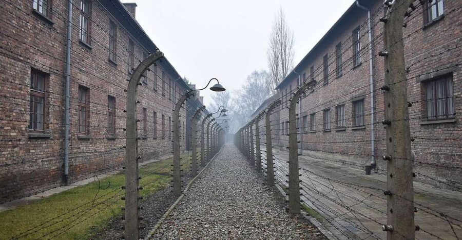 Krakow: Auschwitz-Birkenau Day Trip with Tour Leader - Timing, breaks, and the real length of the day