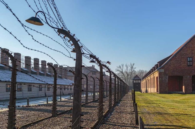 Krakow: Auschwitz-Birkenau Entry Ticket and Transfer - The scale of Birkenau after Auschwitz I