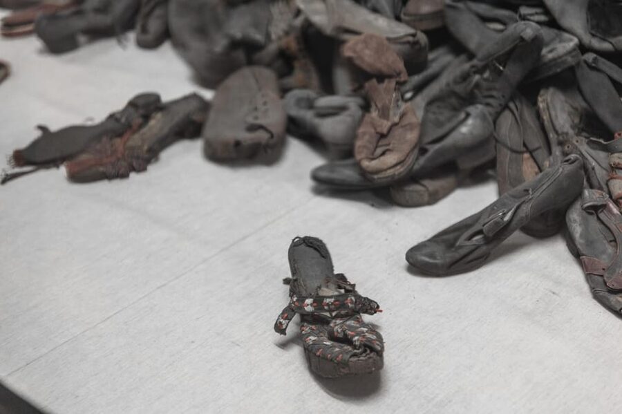 Krakow: Auschwitz-Birkenau Guided Tour and Private Transport - Guide Quality and Tour Language