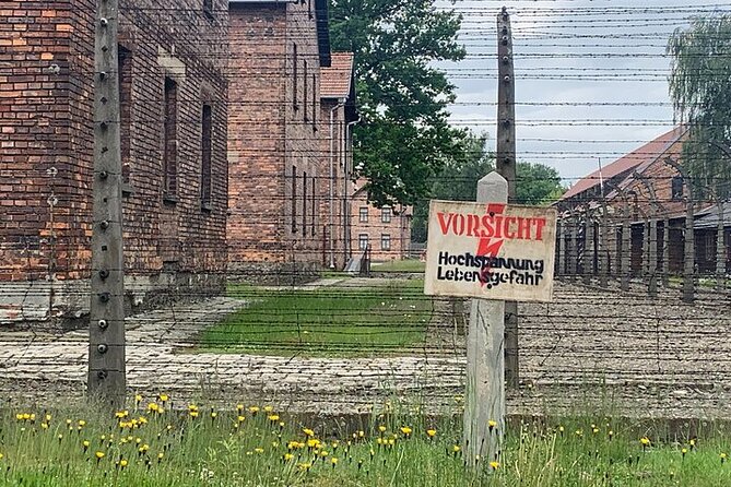 Krakow: Auschwitz-Birkenau Guided Tour & Hotel Pick Up - What the group format gives you, and what it takes away