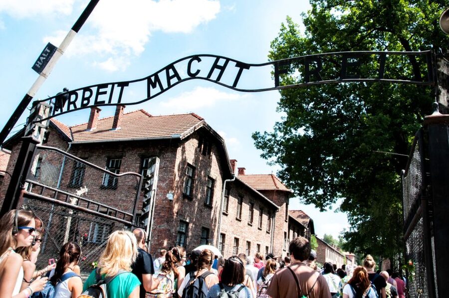 Krakow: Auschwitz-Birkenau Guided Tour Pickup/Lunch Options - Is $200 good value?