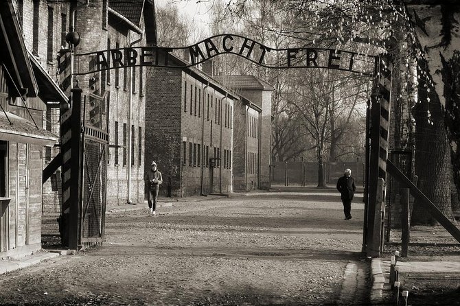 Krakow: Auschwitz-Birkenau Guided Tour with Hotel Transfer - Group size, queues, and the risk of a rushed visit