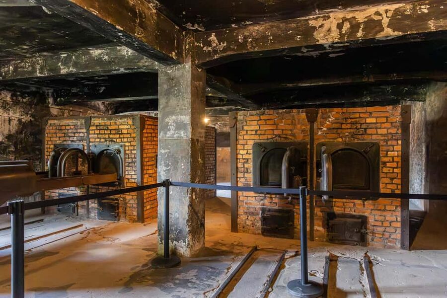 Krakow: Auschwitz-Birkenau Guided Tour with Transportation - Should you book the Discover Cracow tour?