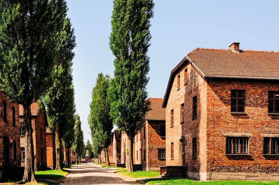 Krakow: Auschwitz-Birkenau Live Guided Tour & Hotel Pickup - What to bring and what to leave behind