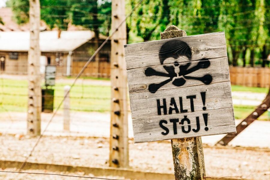 Krakow: Auschwitz-Birkenau Live Guided Tour & Hotel Pickup - The documentary sets the tone