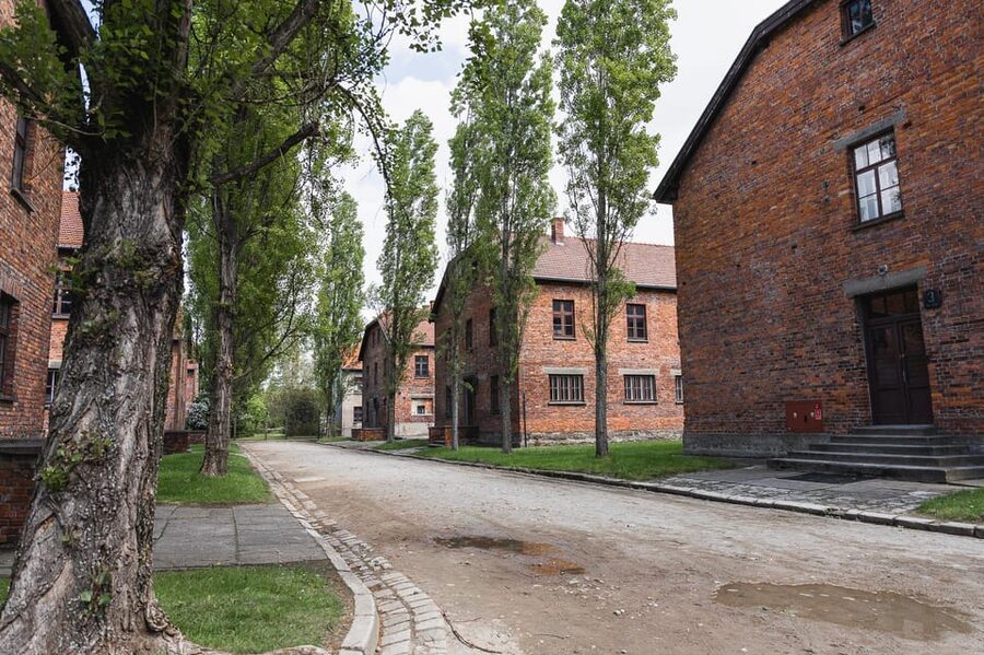 Krakow Auschwitz-Birkenau Memorial Guided Tour Meeting Point - Leaving Krakow in an Air-Conditioned Coach