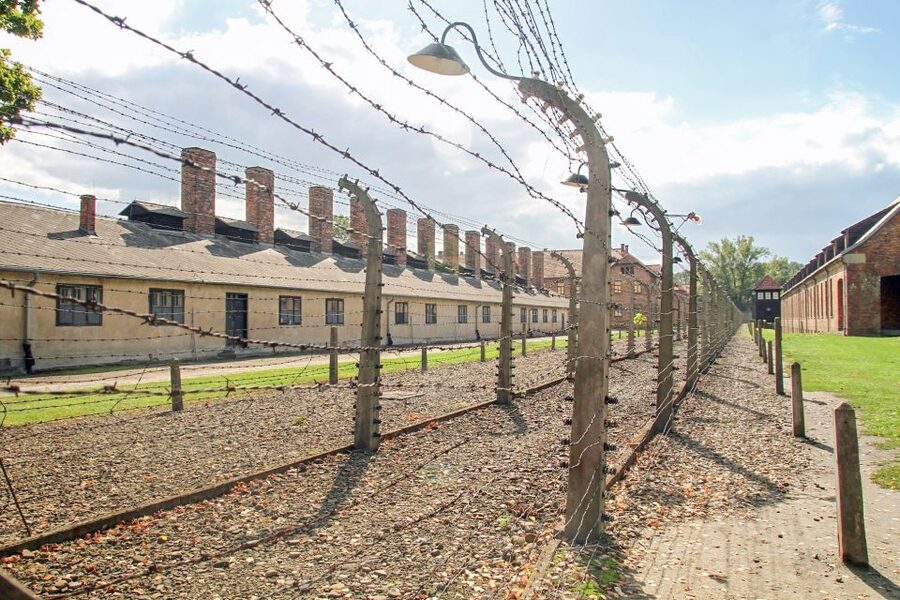 Krakow: Auschwitz Birkenau Museum Guided Tour with Pickup - Why this Krakow day trip matters