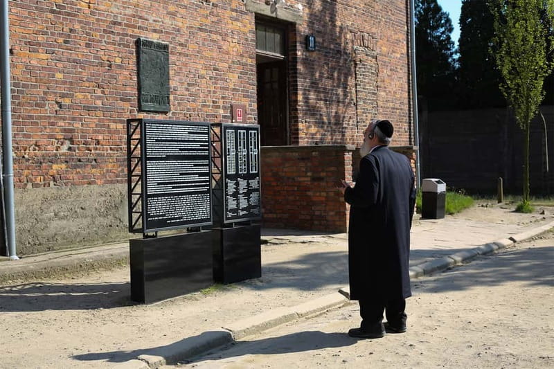 Krakow: Auschwitz-Birkenau Private Guided Tour - Leaving Krakow for the Silesian countryside