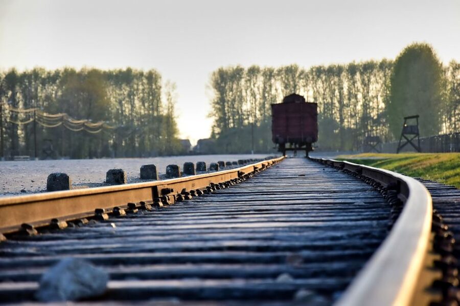 Kraków: Auschwitz-Birkenau & Salt Mine Full-Day Guided Tour - Key points to know before booking