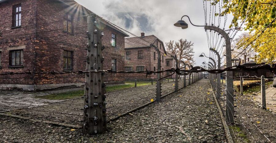 Kraków: Auschwitz-Birkenau & Salt Mine Full-Day Guided Tour - Why this makes sense as one Kraków day trip