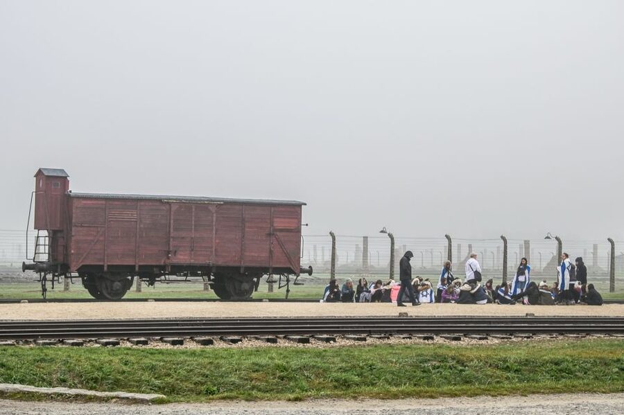Kraków: Auschwitz-Birkenau & Salt Mine Full-Day Guided Tour - Birkenau: the scale of the killing site