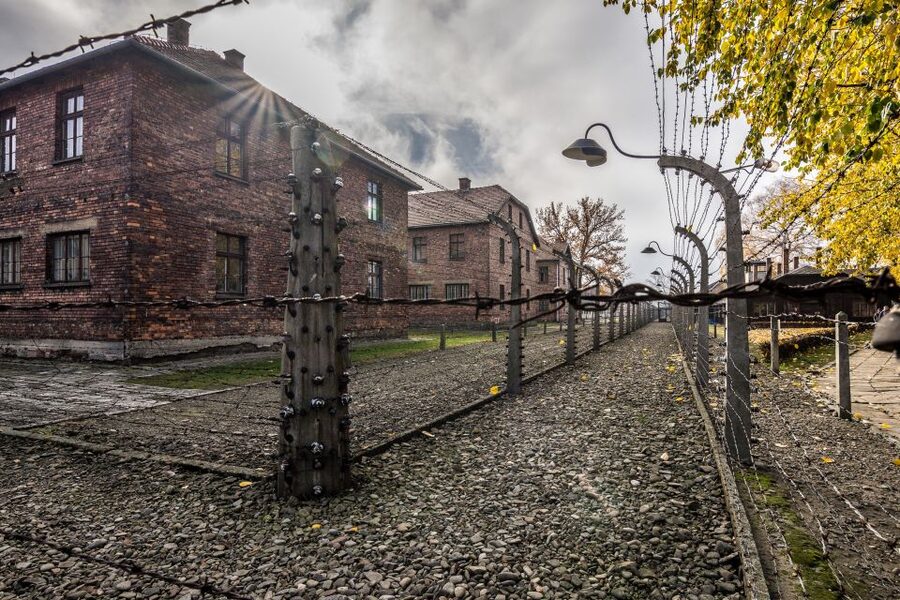 Kraków: Auschwitz-Birkenau & Salt Mine Full-Day Guided Tour - What the two guides add