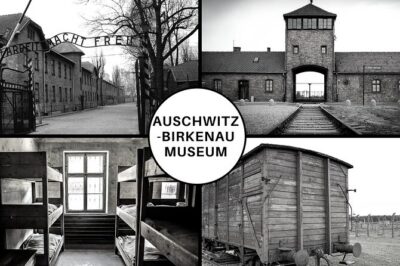 Auschwitz-Birkenau Shared English Tour and Transfer