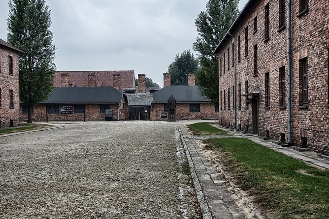 Krakow: Auschwitz-Birkenau Shared English Tour and Transfer - Guides, language, and the human side of the visit
