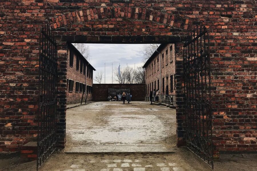 Krakow: Auschwitz-Birkenau Tour Limited to 15 Visitors - What $89 buys you