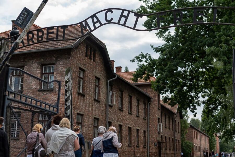Krakow: Auschwitz-Birkenau Tour Limited to 15 Visitors - Who should choose this tour