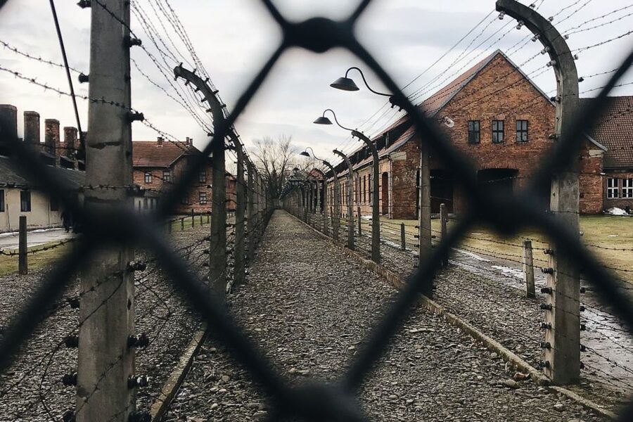 Krakow: Auschwitz-Birkenau Tour Limited to 15 Visitors - Should you book the Auschwitz-Birkenau small-group tour?