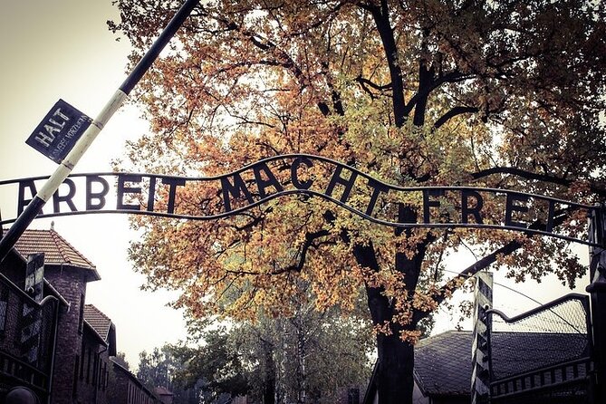 Krakow: Auschwitz-Birkenau Tour & Museum Expert Guide - The guide makes the difference