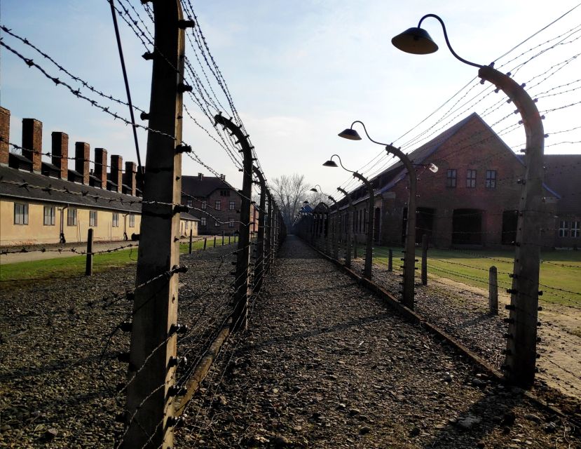 Krakow: Auschwitz-Birkenau & Wieliczka Salt Mine with Lunch - Key points before you book