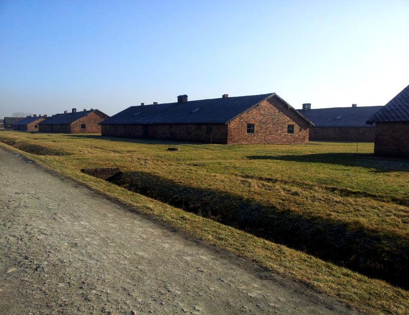 Krakow: Auschwitz-Birkenau & Wieliczka Salt Mine with Lunch - Guides, headsets, and the value of structure