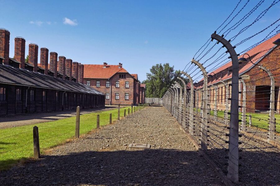 Krakow: Auschwitz Guided Tour with Optional Hotel Pickup - Who should choose this tour?