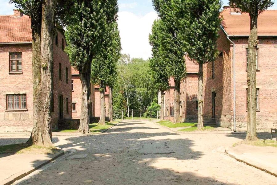 Krakow: Auschwitz & Wieliczka Salt Mine Guided Day Tour - Wieliczka Salt Mine: a striking change of mood