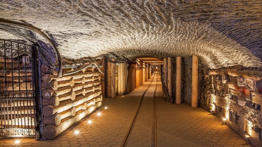 Krakow: Full-Day Auschwitz-Birkenau & Salt Mine Guided Tour - Transport, group size, and the real pace of the day