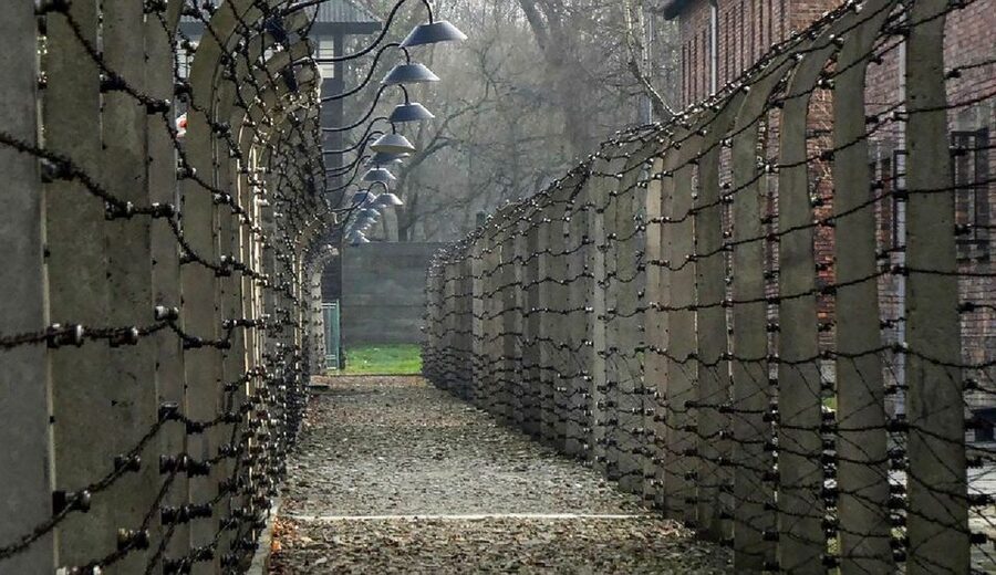 Krakow: Full-Day Auschwitz-Birkenau & Salt Mine Guided Tour - Who should book this experience?