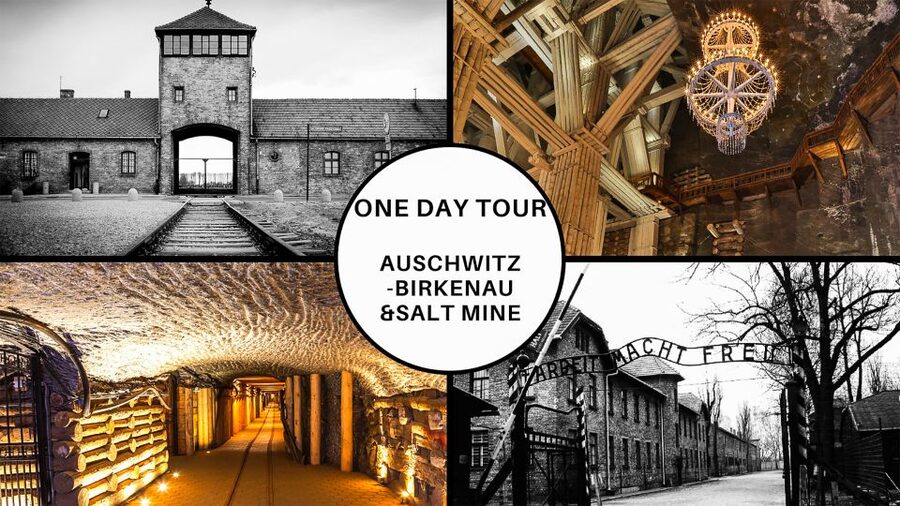 Krakow: Full-Day Auschwitz-Birkenau & Salt Mine Guided Tour - The early ride from Kraków to Oswiecim