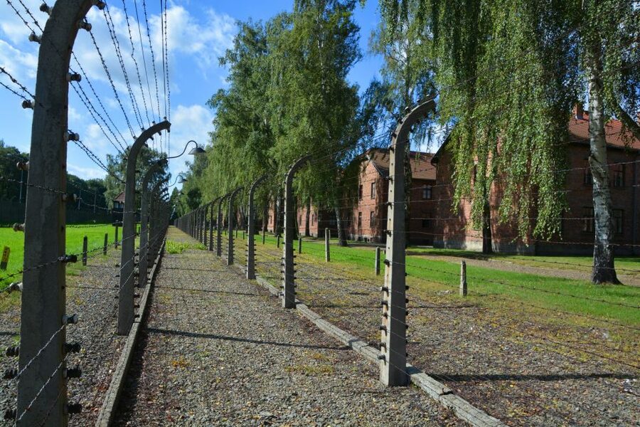 Krakow: Guided Auschwitz Birkenau Tour - Should you book the Auschwitz Birkenau tour?