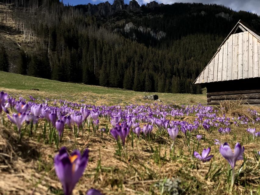 Krakow: Hiking Adventure in Tatra Mountains & Thermal Baths - Five hours among glades and mountain peaks