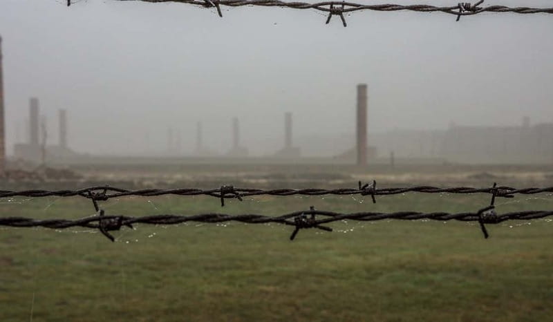 Krakow: Last Minute Auschwitz-Birkenau Guided Tour - The short transfer to Birkenau