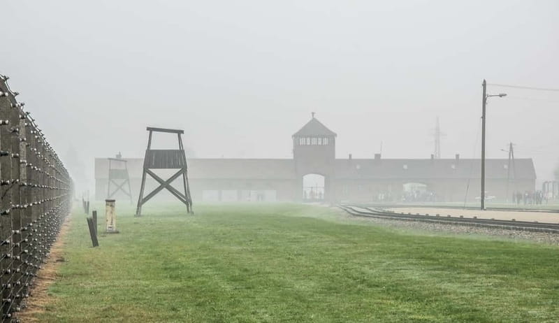 Krakow: Last Minute Auschwitz-Birkenau Guided Tour - What the guide adds to a difficult visit